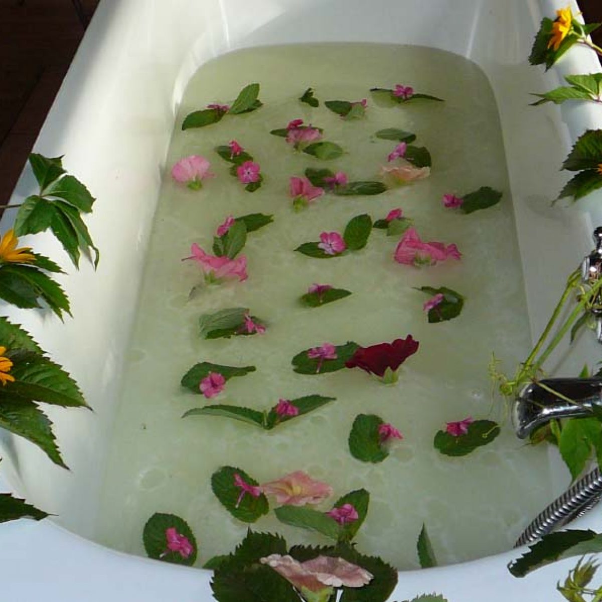KapielSerwatka SPA
